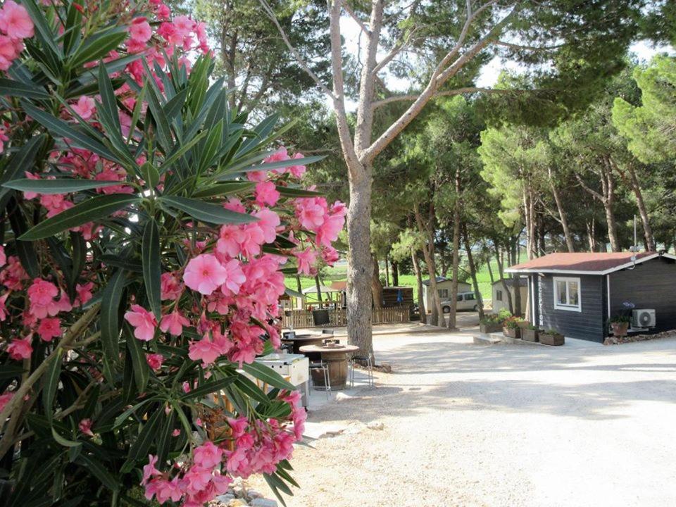 Camping Le Bois De Pins Salses-le-Chateau Dış mekan fotoğraf